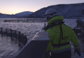 The fish farmer out at sea on the fish farm